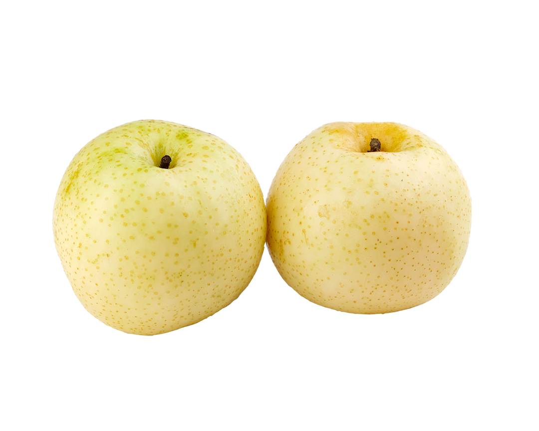 Sm Apple Pear Rasp Apples & Pears – Qra @ Arcoris